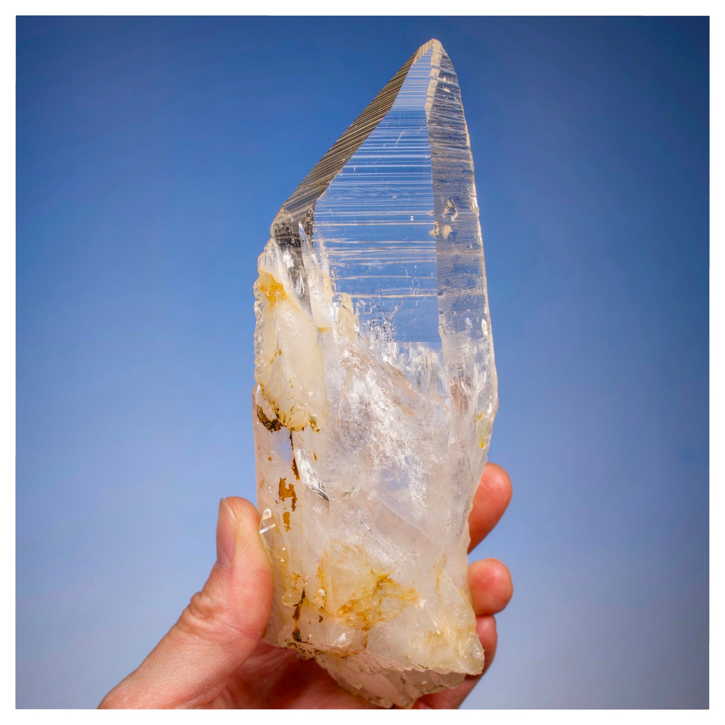 Elestial Peñas Blancas Lemurian Quartz with Deep Striations Collector Specimen (Lot: PE-305)