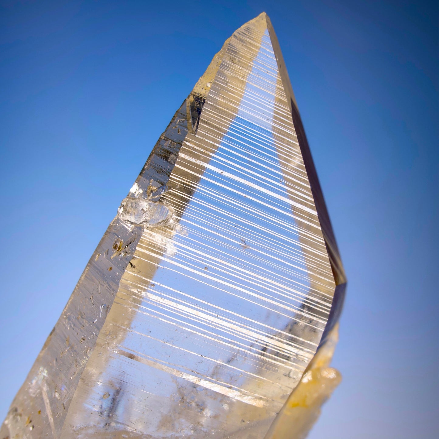 Elestial Peñas Blancas Lemurian Quartz with Deep Striations Collector Specimen (Lot: PE-305)