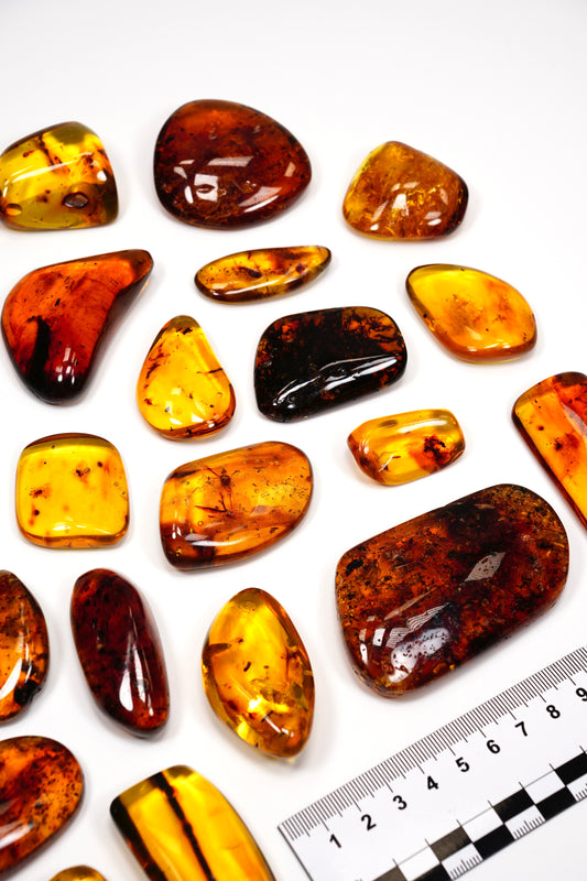 Hand Polished Amber WHOLESALE x20 pieces (AM-230)