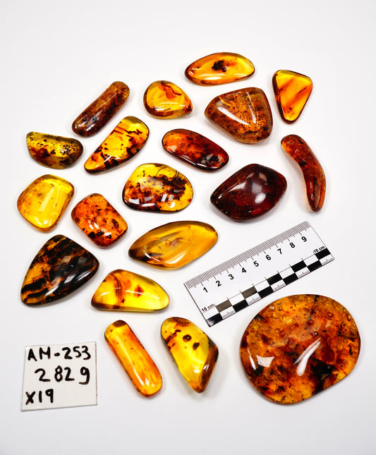 Hand Polished Amber WHOLESALE x19 pieces (AM-253)