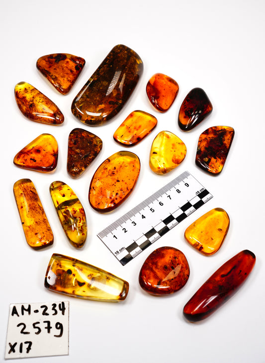 Hand Polished Amber WHOLESALE x17 pieces (AM-234)