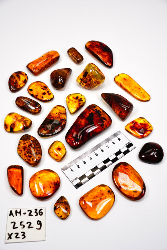 Hand Polished Amber WHOLESALE x23 pieces (AM-236)