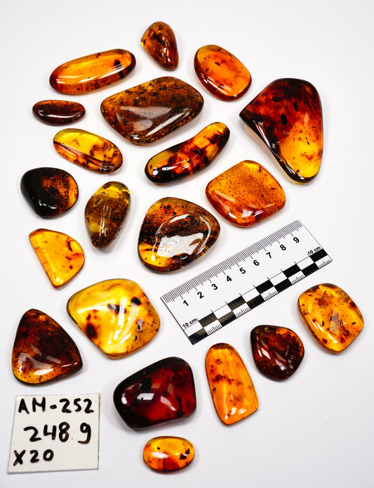 Hand Polished Amber WHOLESALE x20 pieces (AM-252)