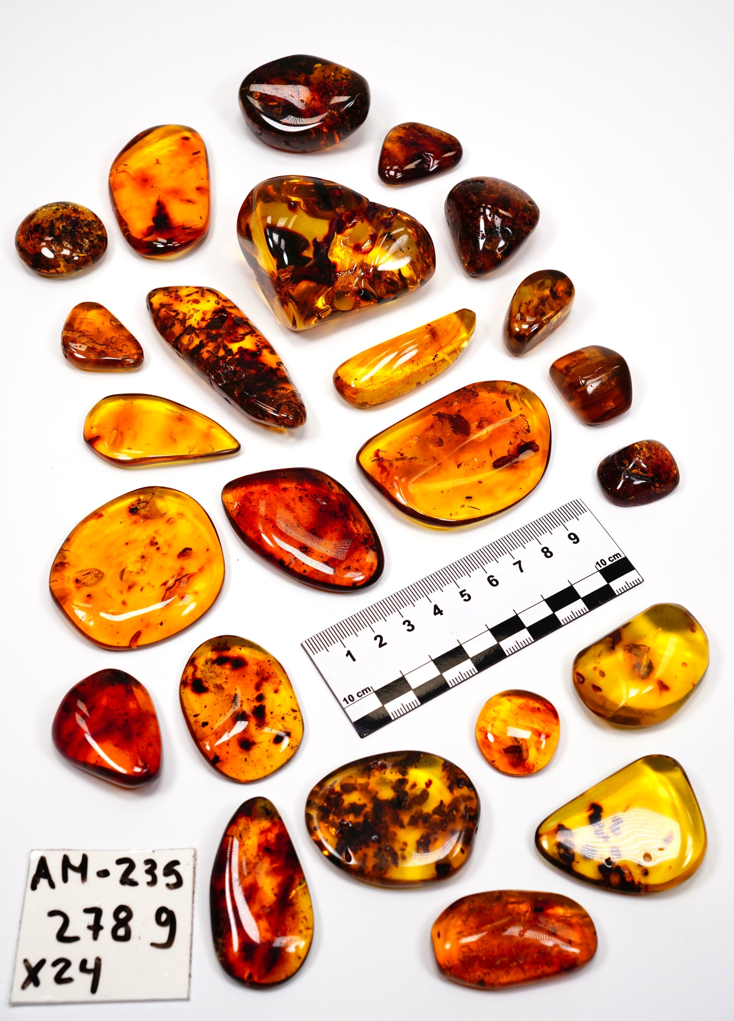 Hand Polished Amber WHOLESALE x24 pieces (AM-235)