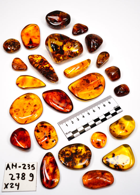 Hand Polished Amber WHOLESALE x24 pieces (AM-235)