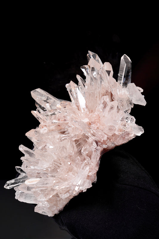 Pink Lemurian Quartz Cluster AAA Collector Specimen (Lot: P-1357)