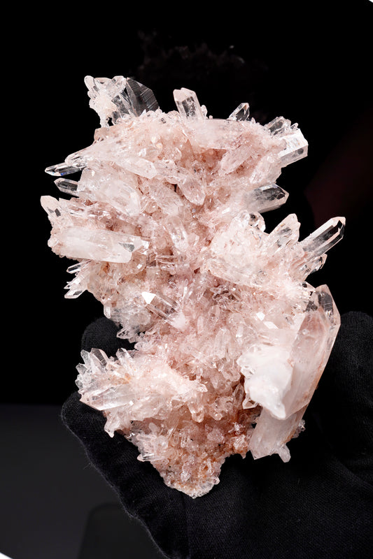 Pink Lemurian Quartz Cluster AAA Collector Specimen (Lot: P-1371)