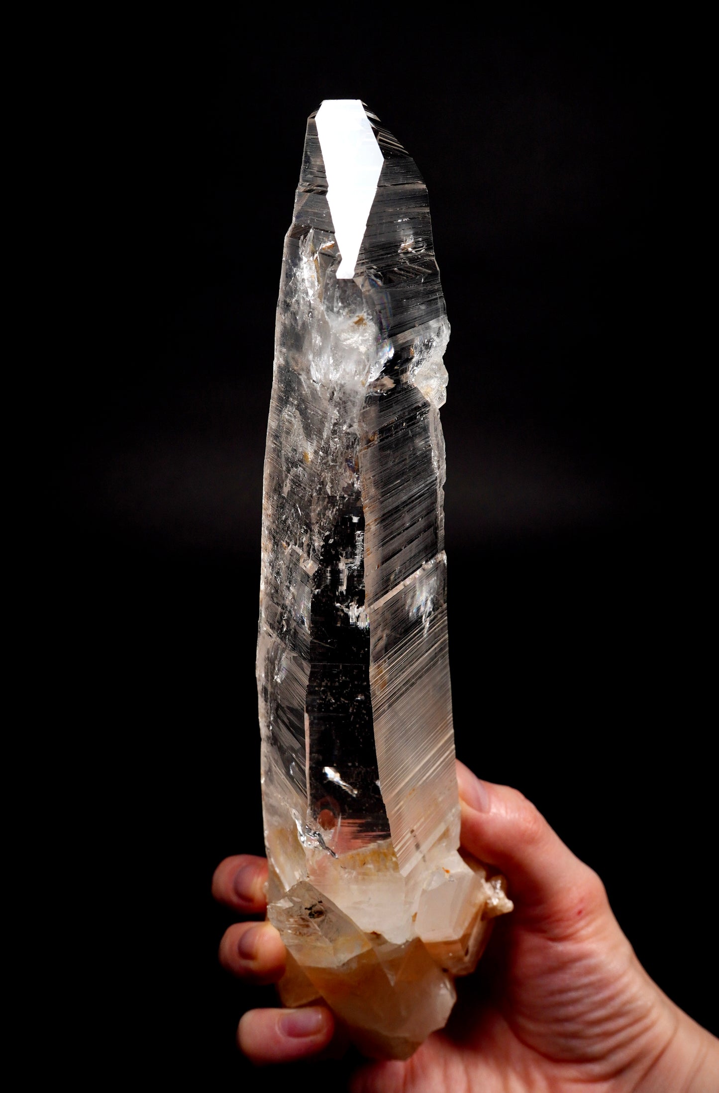 Chisel terminated Lemurian Quartz Sword of light Collector Specimen (lot: CO-271) 714g