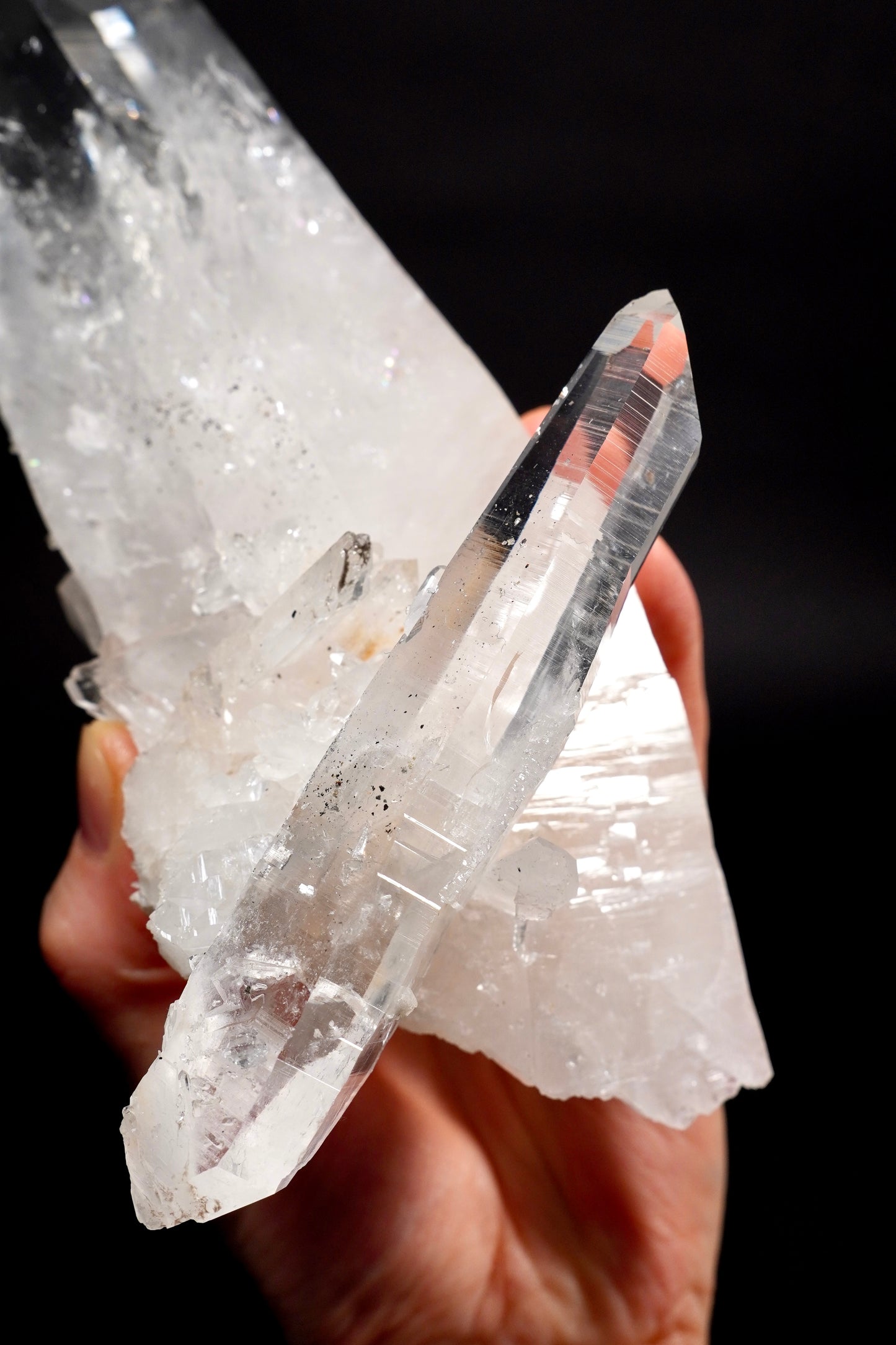 Transmitter double terminated Elestial Lemurian Quartz Crystal Collector Specimen (lot:CO-275) 1344g