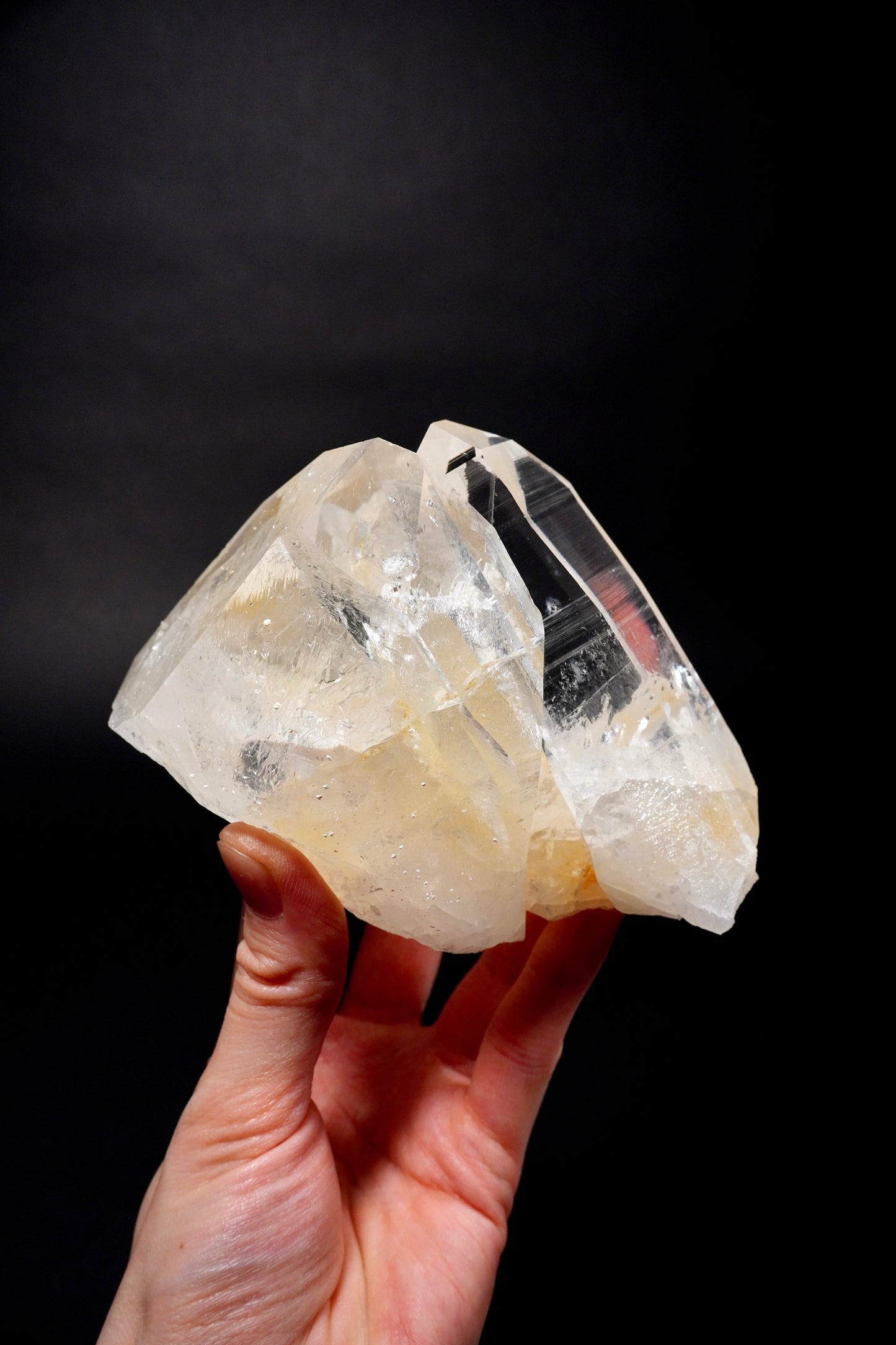 Tantric Twin full of expansive record keepers everywhere!! Collector Specimen (lot: CO-278) 977g