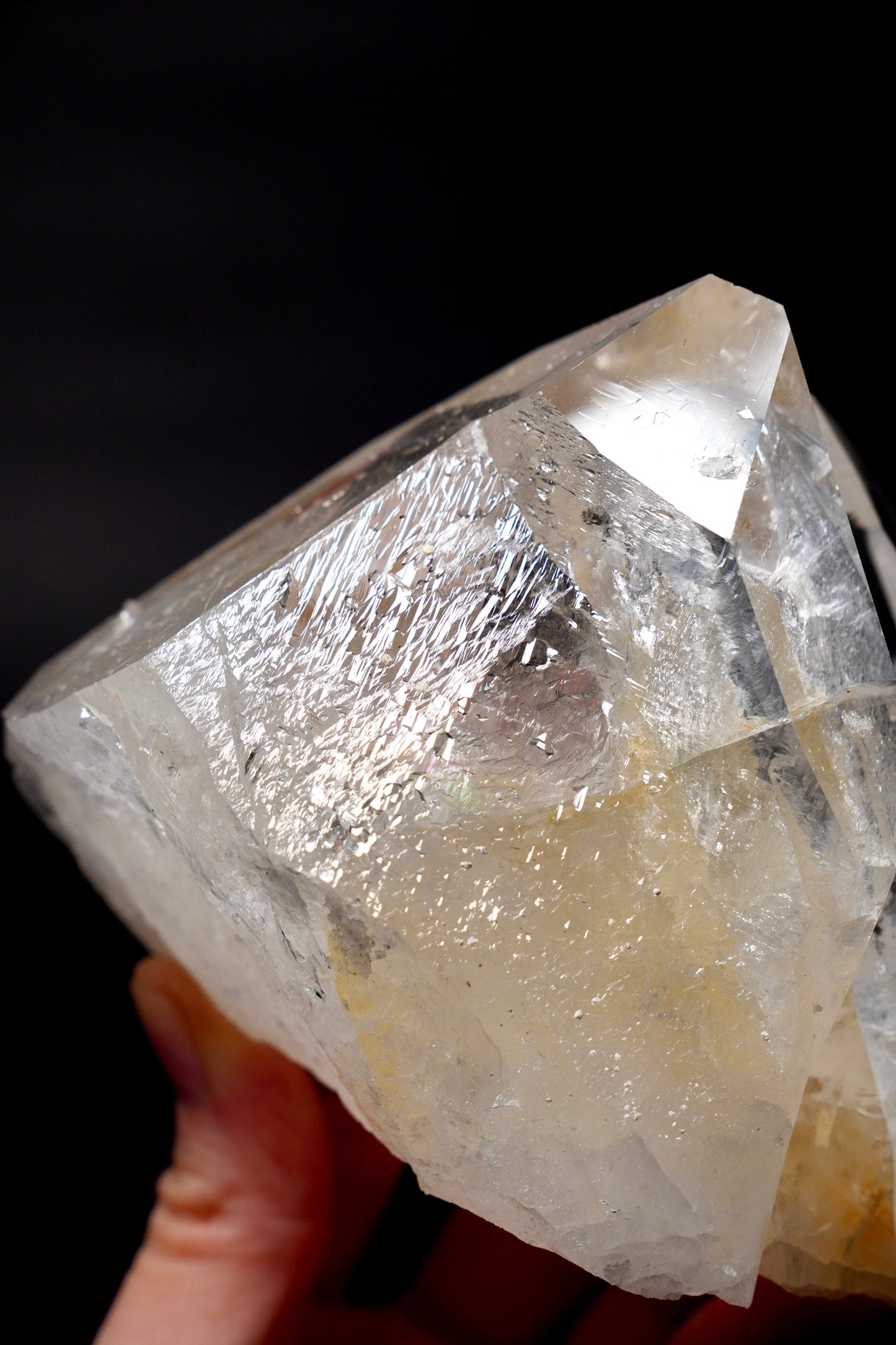 Tantric Twin full of expansive record keepers everywhere!! Collector Specimen (lot: CO-278) 977g