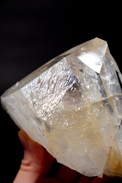 広大な記録保持者でいっぱいのタントリックツイン!! コレクター標本（ロット：CO-278）977g