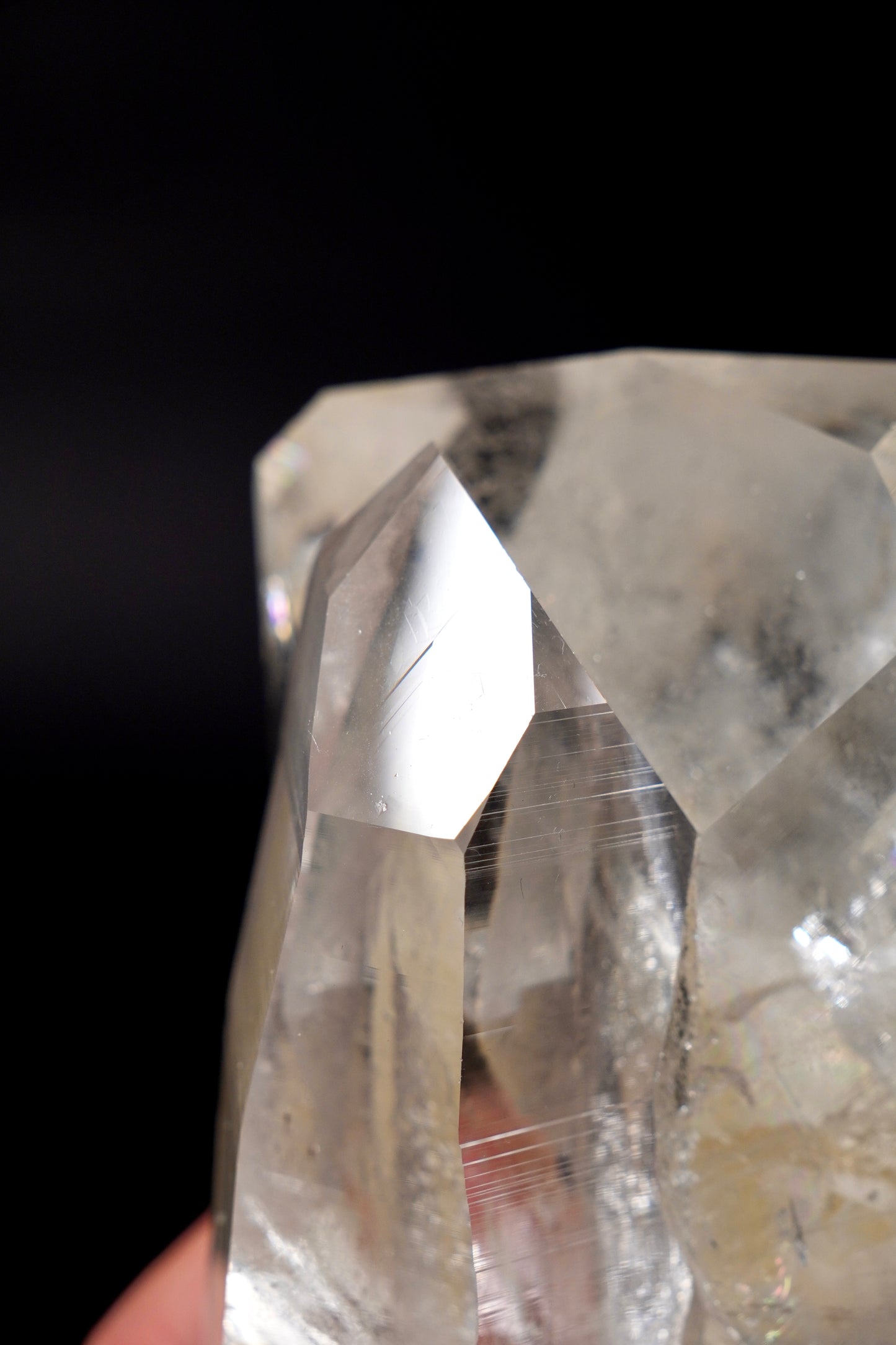 Tantric Twin full of expansive record keepers everywhere!! Collector Specimen (lot: CO-278) 977g