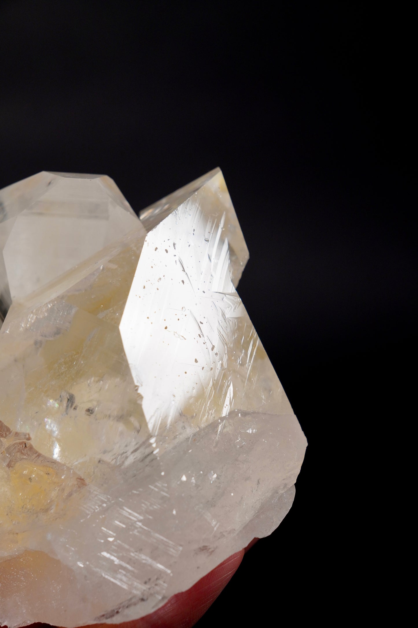 Tantric Twin full of expansive record keepers everywhere!! Collector Specimen (lot: CO-278) 977g