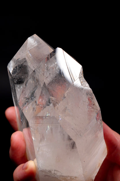 タントリックツイン、チゼルエンド、タイムリンクウィンドウ付きコレクター標本（ロット：CO-283）651g