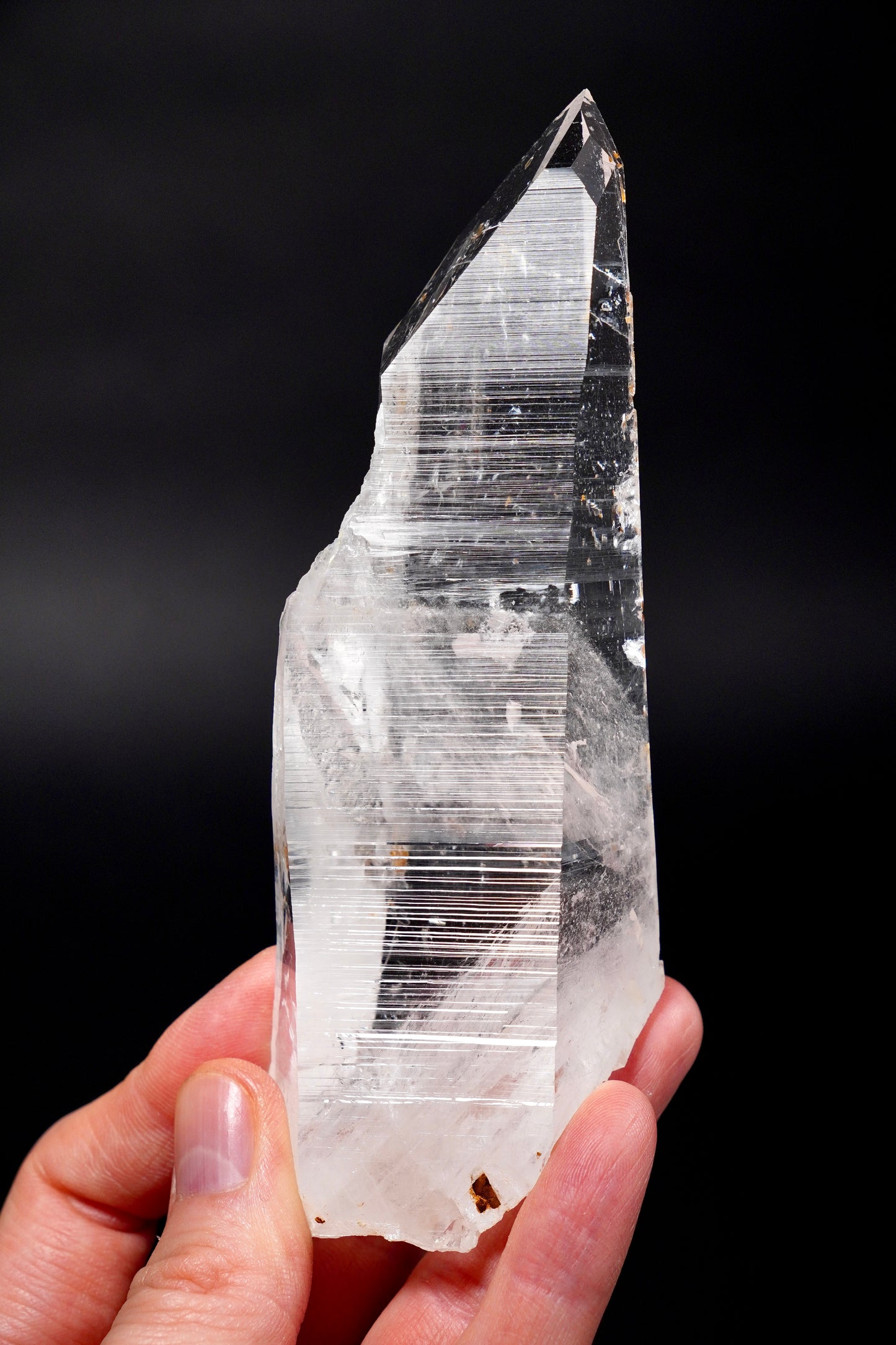 Sword of Light Lemurian Quartz crystal with present Time Link Window Collector Specimen (lot: CO-290) 276g
