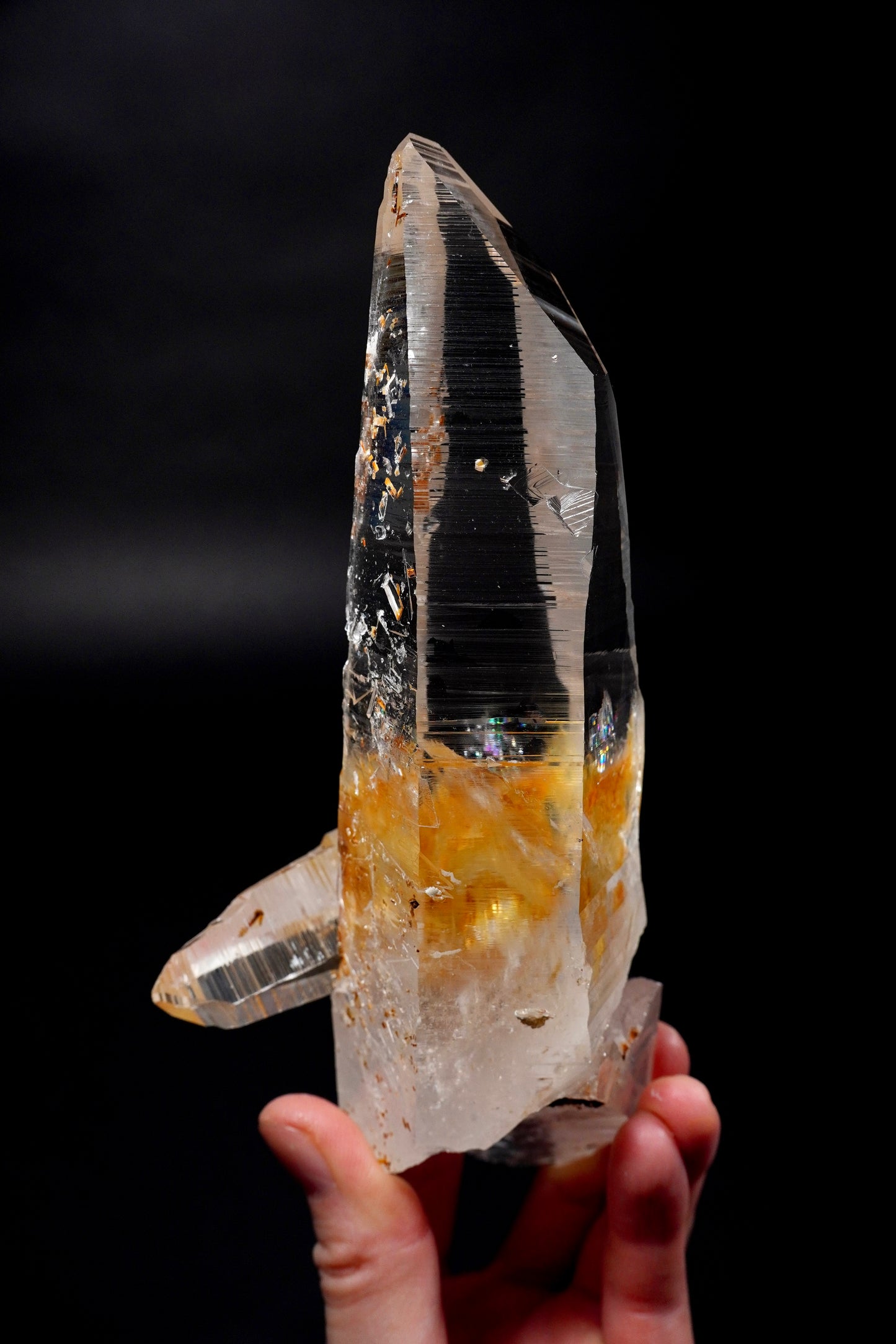 Extra rare Golden Healer Sword of Light Collector Specimen (lot: CO-288) 622g