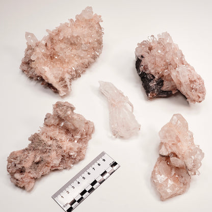 PINK LEMURIAN QUARTZ CLUSTERS MEDIUM SIZE (P-1445) 2,377 G X5 | WHOLESALE LOT