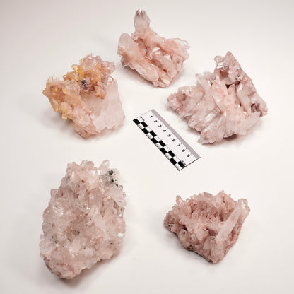 PINK LEMURIAN QUARTZ CLUSTERS MEDIUM SIZE (P-1446) 2,453 G X5 | WHOLESALE LOT
