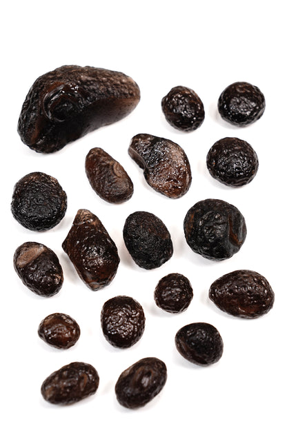 COLOMBIANITE TEKTITE MUSEUM QUALITY (CT-102) 115G X18 PIECES | WHOLESALE LOT