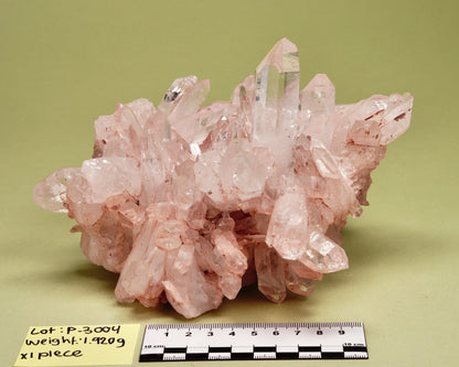 SUPER OPTICAL PINK LEMURIAN QUARTZ CLUSTER MEDIUM SIZE (P-3004) | WHOLESALE LOT
