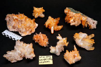 Golden Pink Lemurian Quartz Clusters | (Lot: LC-3045) | 2840g x9 | Wholesale Lot | Mixed Size