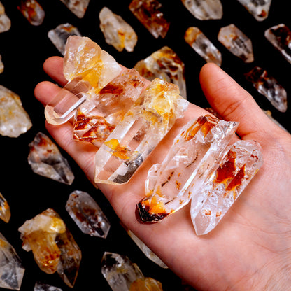 Dragon Fire Lemurian Quartz Crystal Points | BULK (Shop by the Kilo) | Small Size
