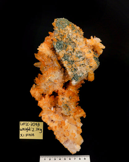 Rainbow Golden Green Lemurian Quartz Cluster (LC-3053) | Wholesale Lot | 2125g x1 | Large Size