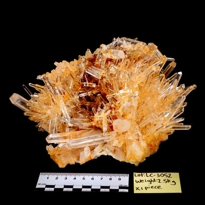 Needle Lemurian Quartz Crystal Cluster (LC-3052) | Wholesale Lot | 2520g x1 | Large Size