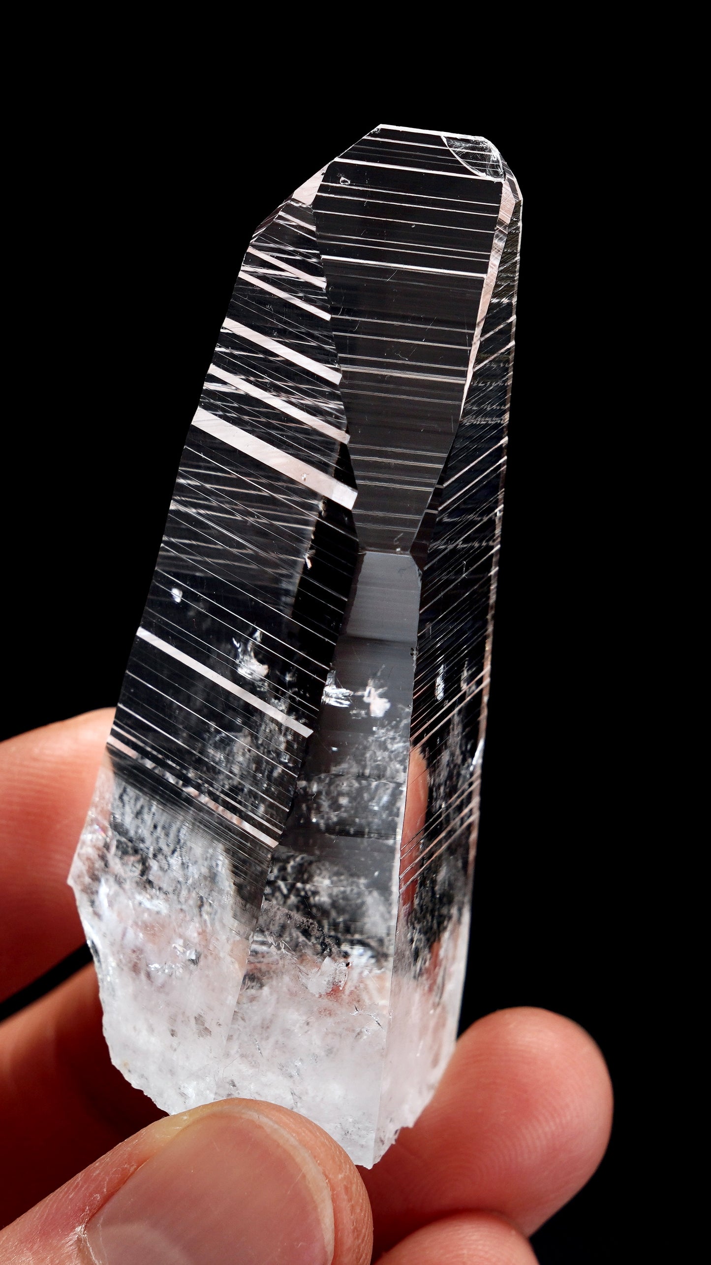 Peñas Blancas Lemurian Quartz Crystal Points (PB-3002) | Wholesale Lot | 420g x5 | Medium & Small Sizes