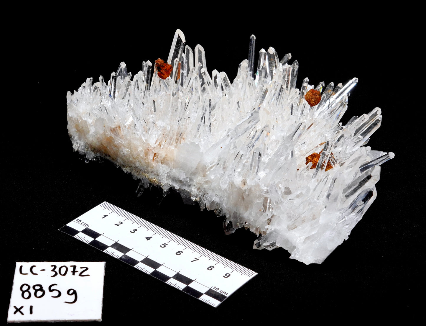 NEEDLE SUPER OPTICAL LEMURIAN QUARTZ CLUSTERS (LC-3072) | WHOLESALE LOT | LARGE SIZE 885g x1