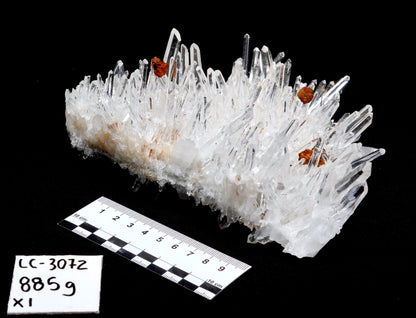 NEEDLE SUPER OPTICAL LEMURIAN QUARTZ CLUSTERS (LC-3072) | WHOLESALE LOT | LARGE SIZE 885g x1