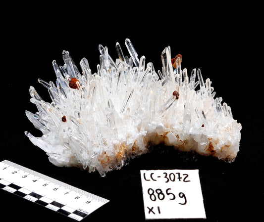 NEEDLE SUPER OPTICAL LEMURIAN QUARTZ CLUSTERS (LC-3072) | WHOLESALE LOT | LARGE SIZE 885g x1