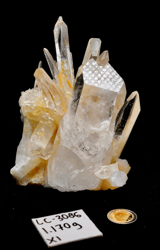LASER LEMURIAN QUARTZ CLUSTERS (LC-3086) | WHOLESALE LOT | MEDIUM SIZE 1170g x1