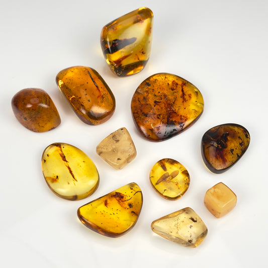 Hand Polished Amber (AM-118A)