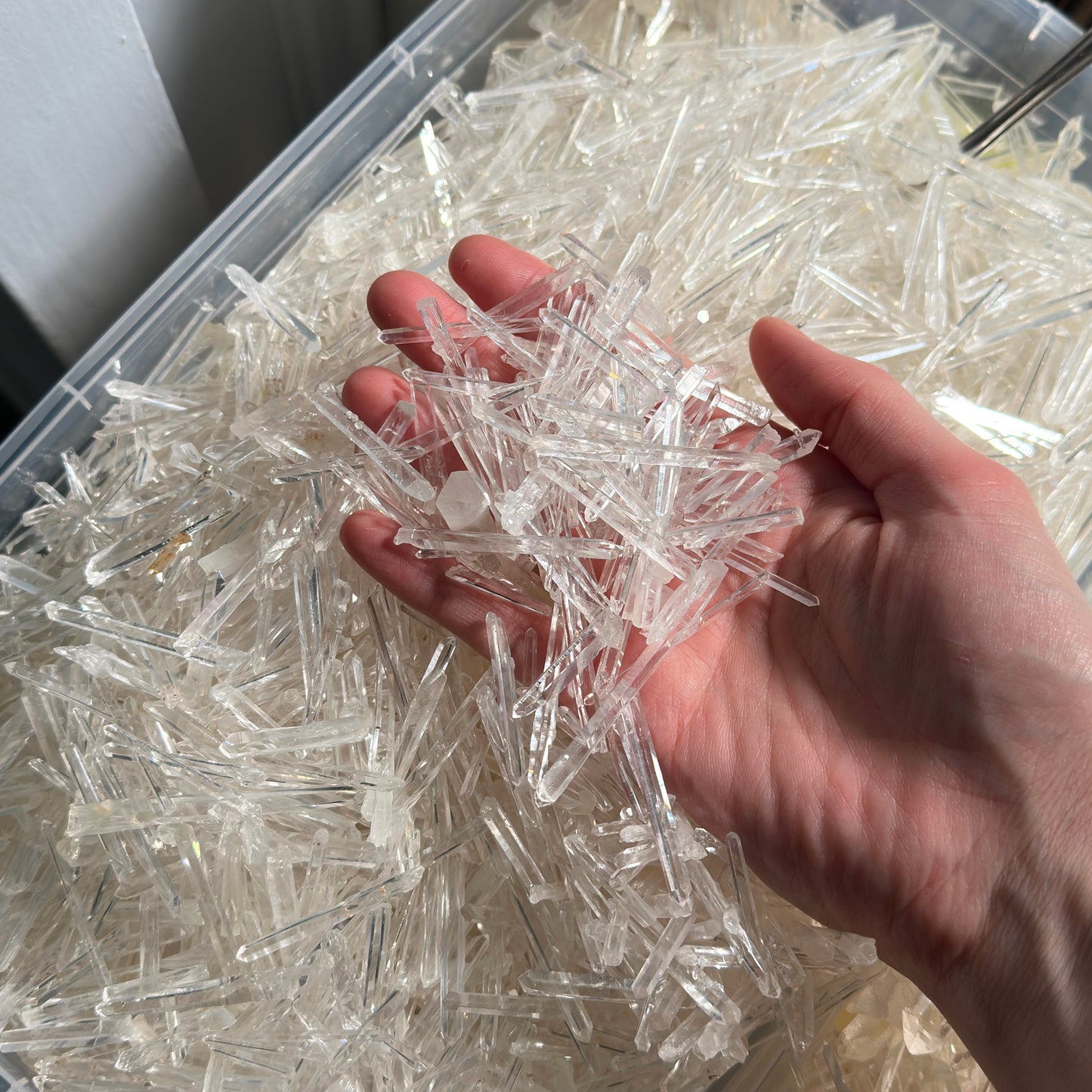 Extra Thin Needle Lemurian Quartz Crystal points by the kilo BULK | Limited Stock!