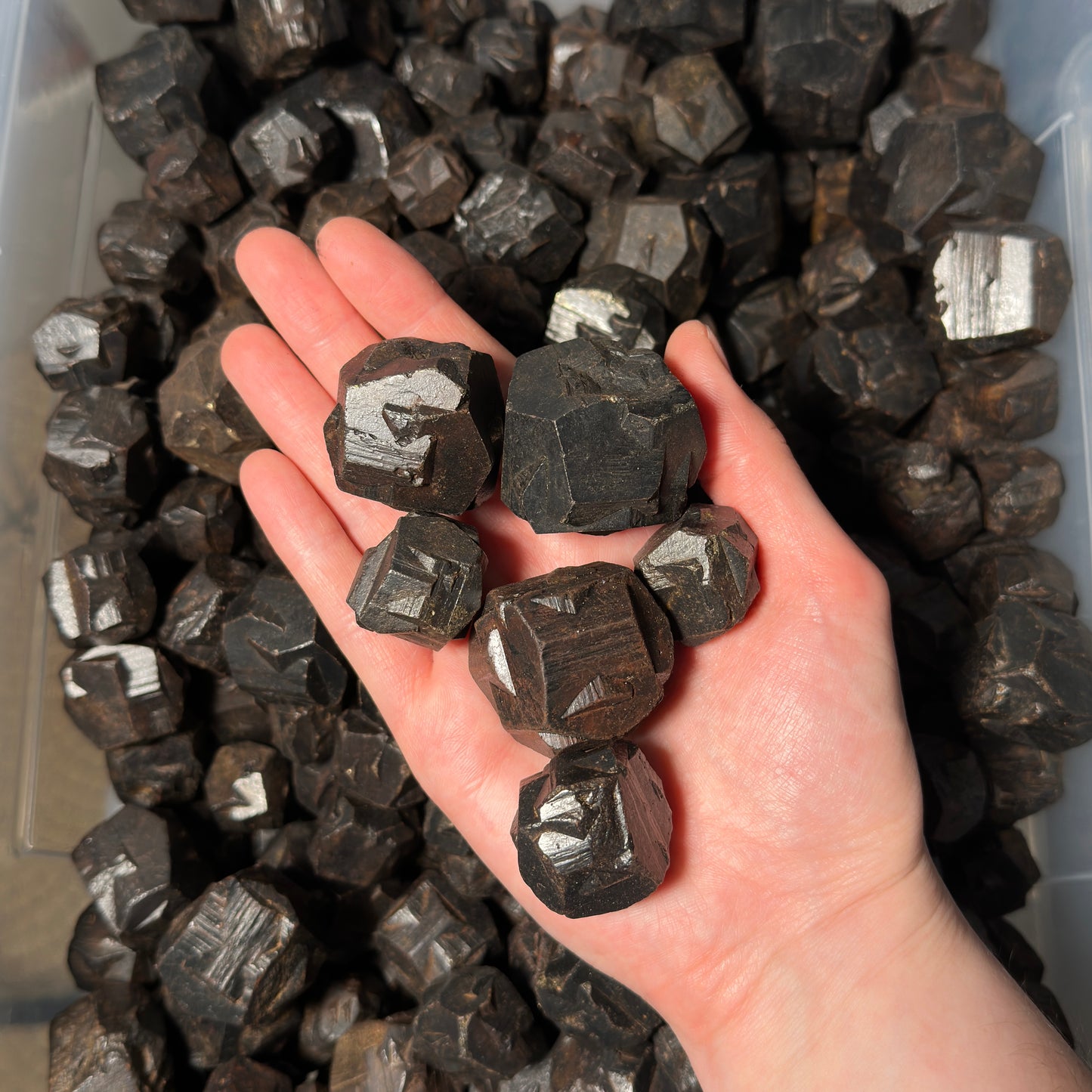 Iron Cross Twin Pyrite (Pseudomorph: Goethite after Pyrite) by the kilo BULK)