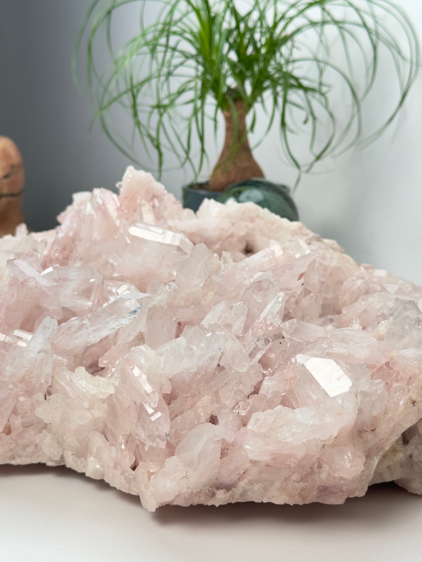 Extra RARE XL Pink Faden Lemurian Quartz Clusters (P-1187)