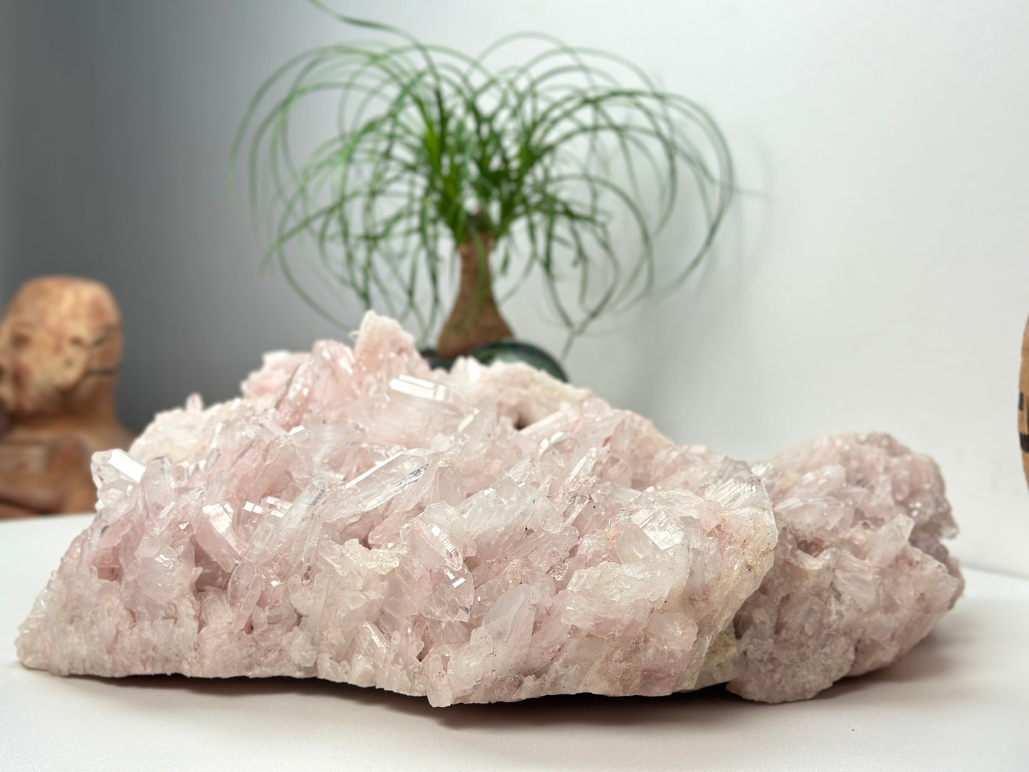 Extra RARE XL Pink Faden Lemurian Quartz Clusters (P-1187)