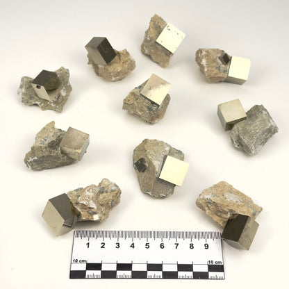 Cubic Pyrite on Matrix (Limestone), Navajun Spain Extra High Quality (PY-129A) 572 g x10