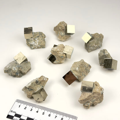 Cubic Pyrite on Matrix (Limestone), Navajun Spain Extra High Quality (PY-129) 522g x9