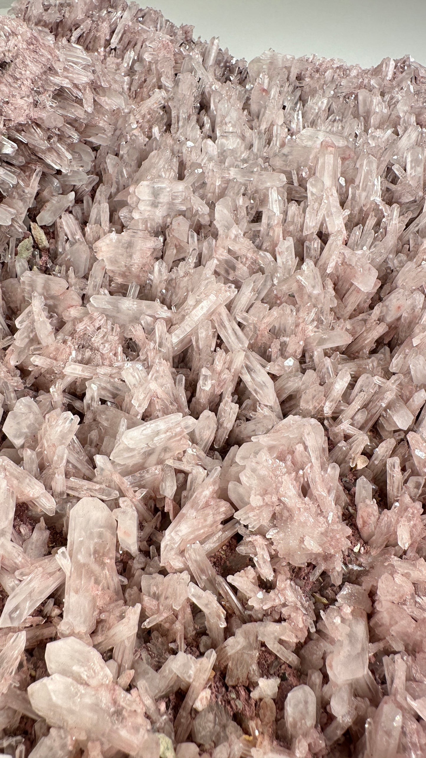 Extra RARE XL Pink Faden Lemurian Quartz Clusters (Lot: P-925)