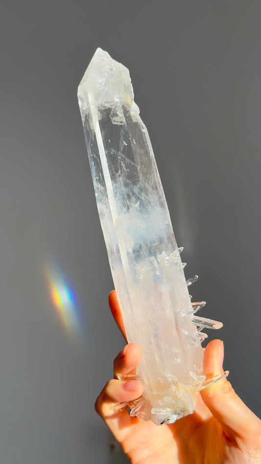 Extra Rare Blue Feather DNA Lemurian Quartz Sword of Light (lot: CO-80)