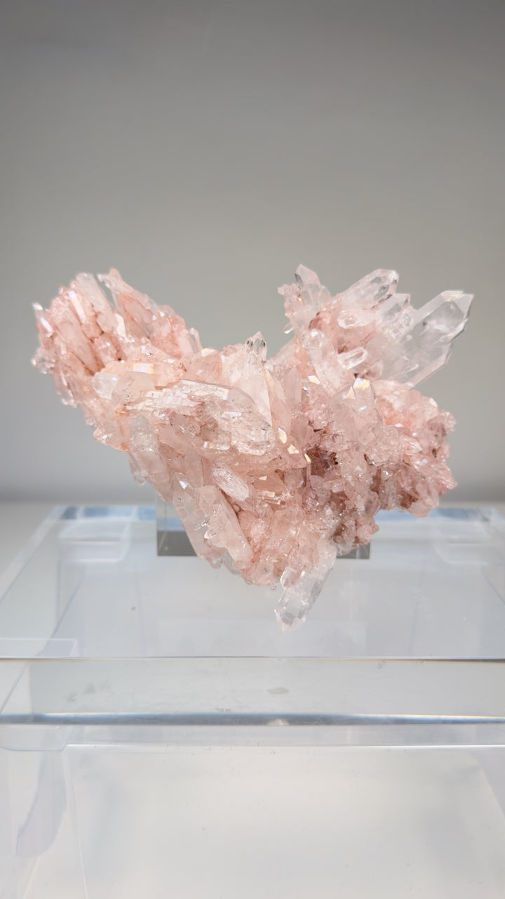 Extremely Rare fully crystallized Faden Pink Lemurian Quartz Cluster (Lot: P-917)