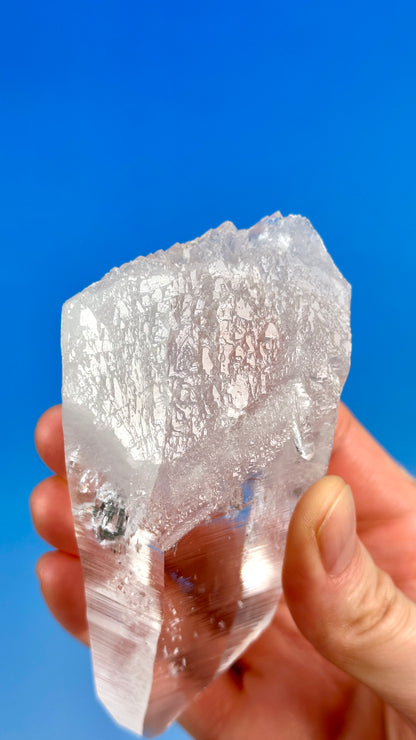 エレスチャル ペーニャス ブランカス レムリアン クォーツ ポイント (ロット: CO-230) コレクター標本