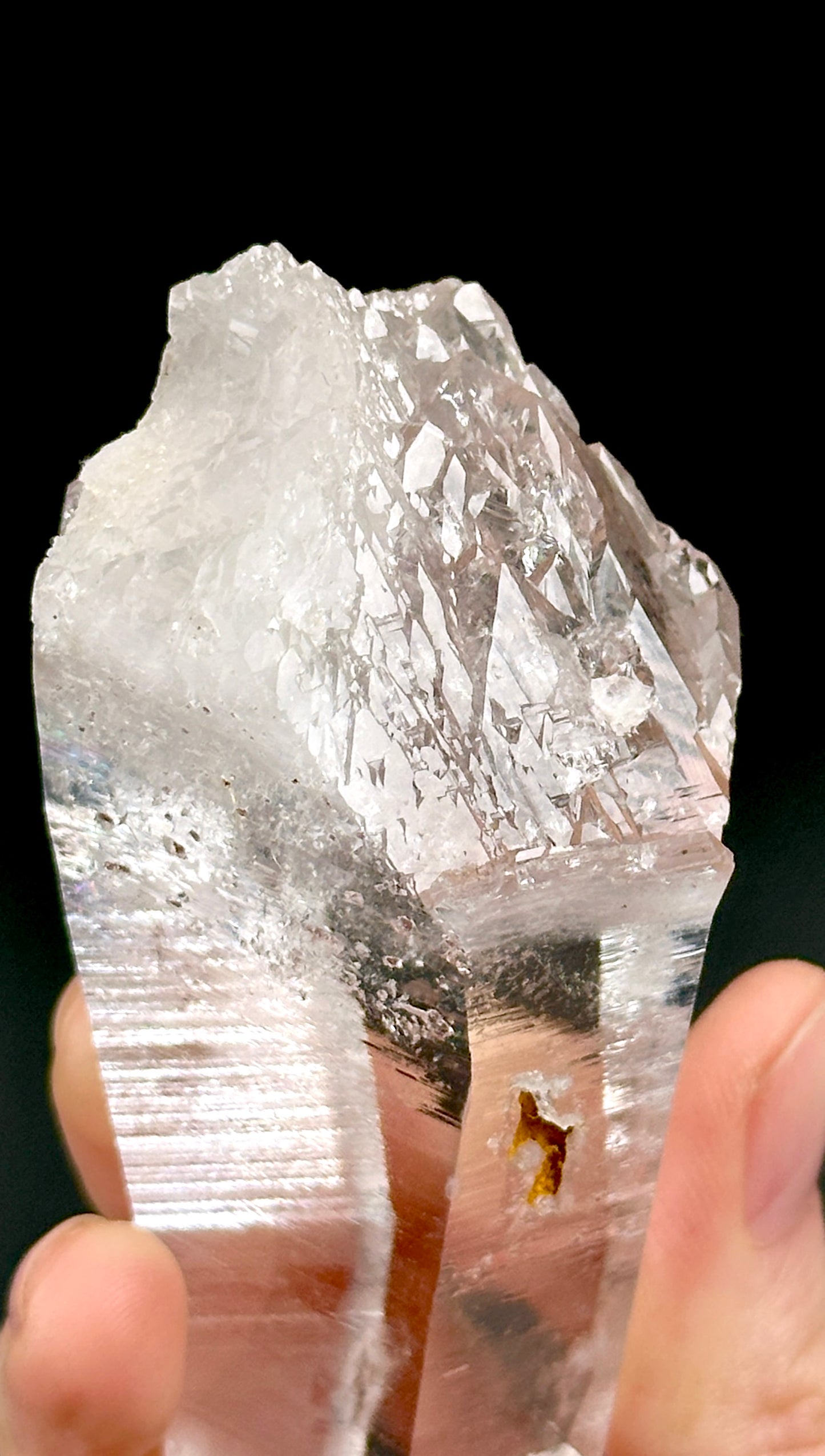 Laser Peñas Blancas Lemurian Quartz with an Elestial base Collector Specimen (Lot: CO-211)