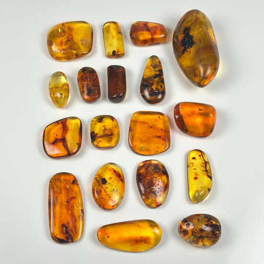 Hand Polished Amber WHOLESALE (AM-201)