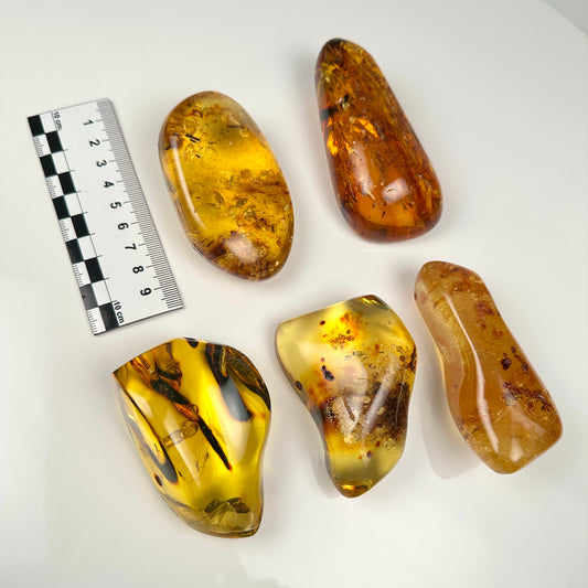 Hand Polished Amber WHOLESALE (AM-205)