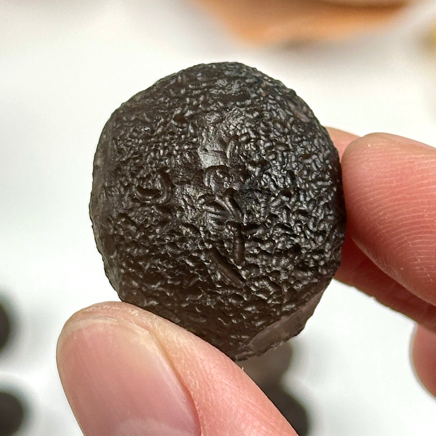 Colombianite Tektite Museum Quality (CT-120)