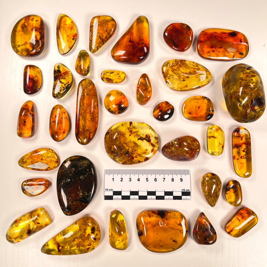 Hand Polished Amber WHOLESALE (AM-105)